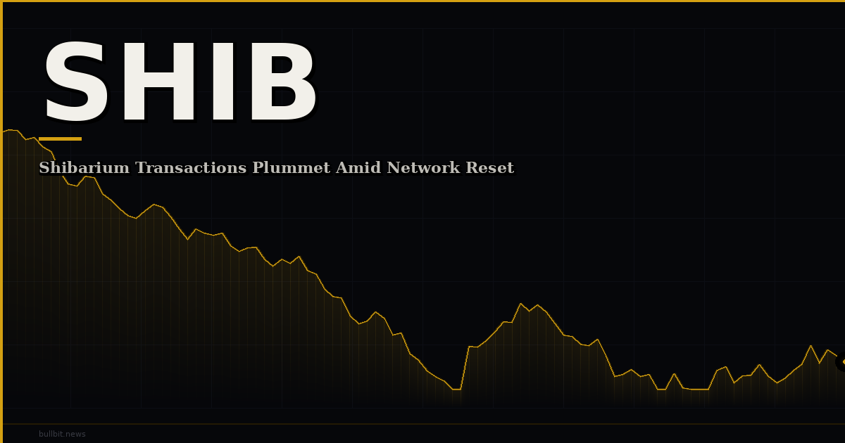 Shibarium Transactions Plummet Amid Network Reset