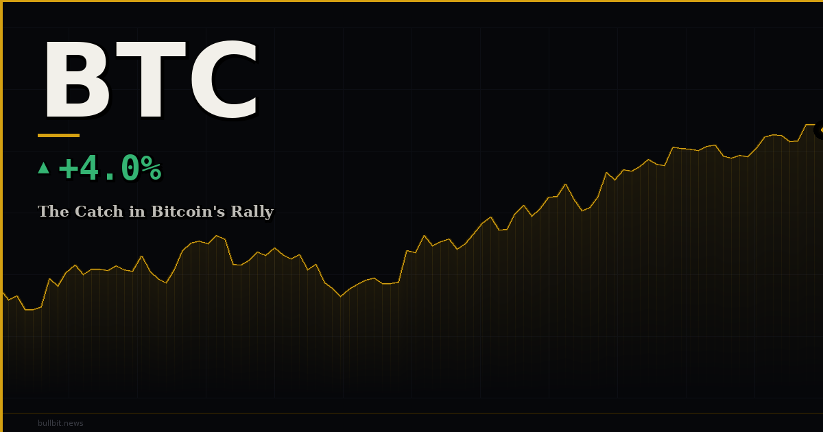 The Catch in Bitcoin's Rally